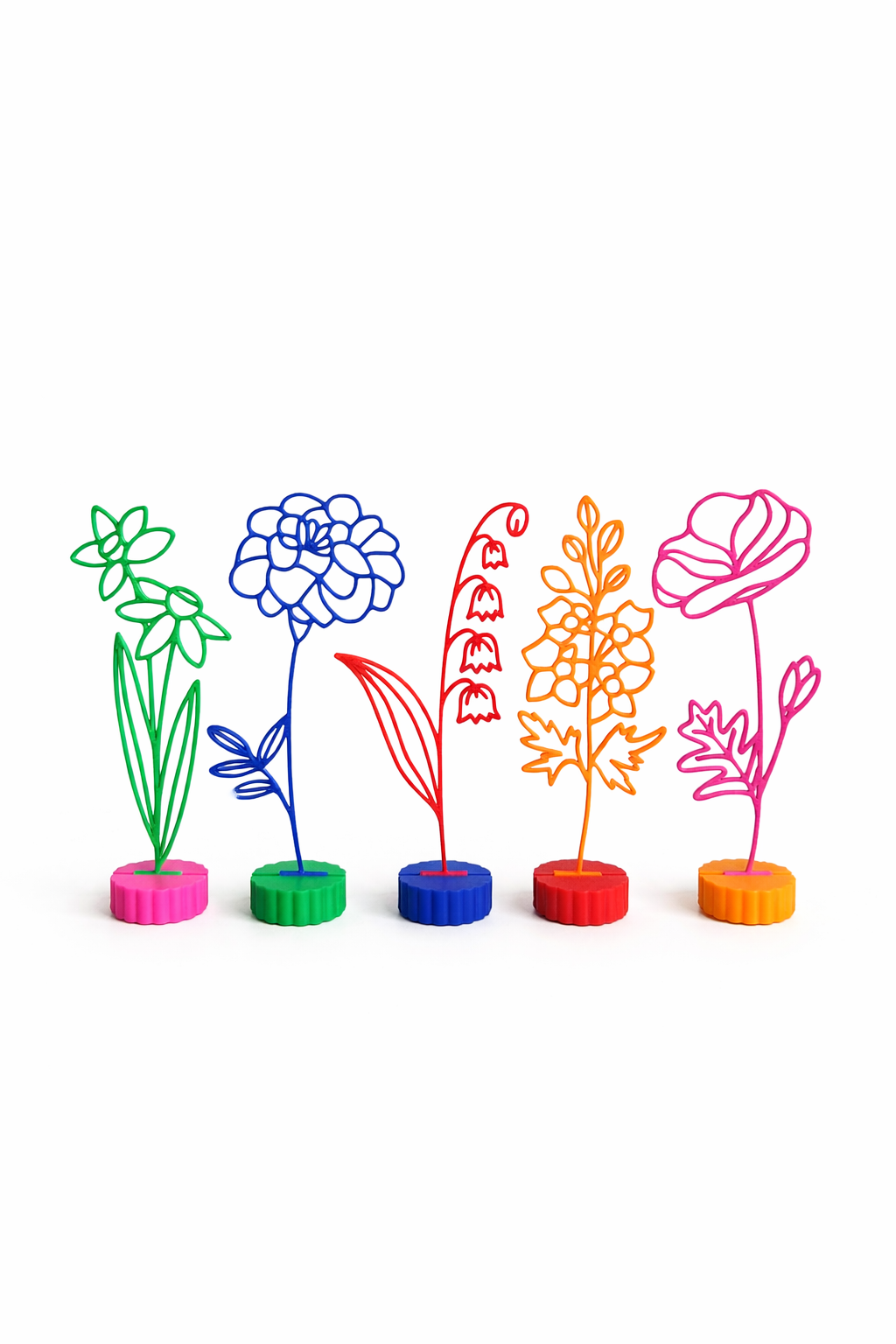 Maandbloem - Augustus