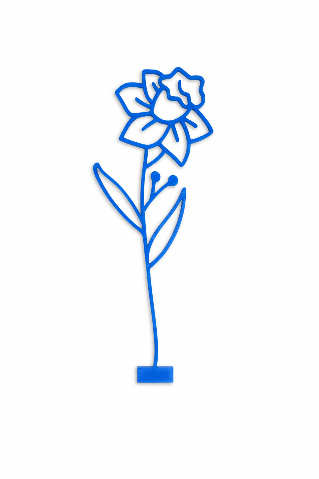 Maandbloem - Maart