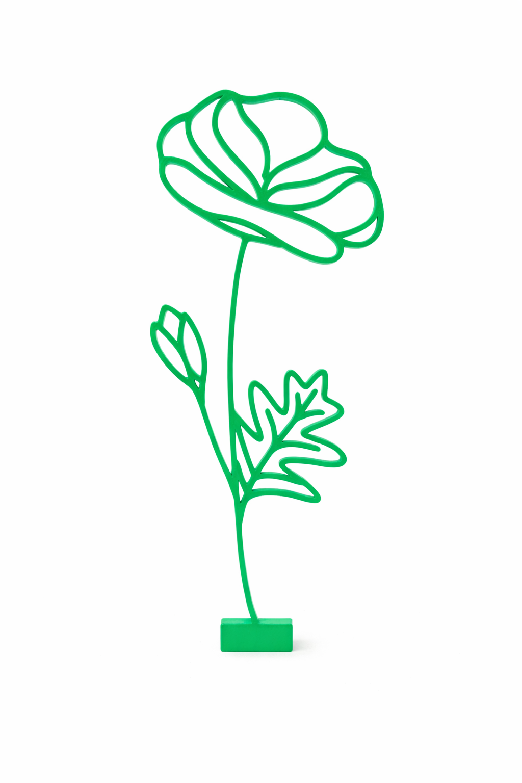 Maandbloem - Augustus