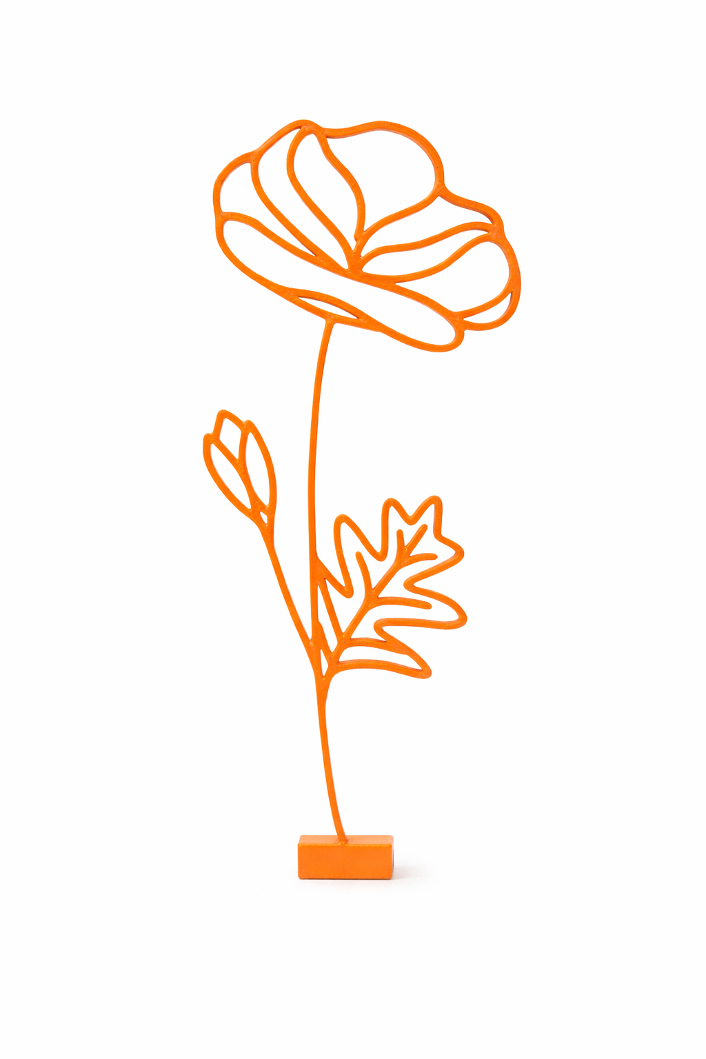 Maandbloem - Augustus