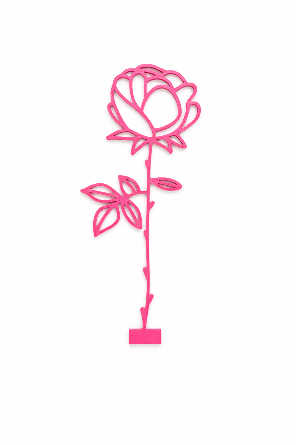 Maandbloem - Juni