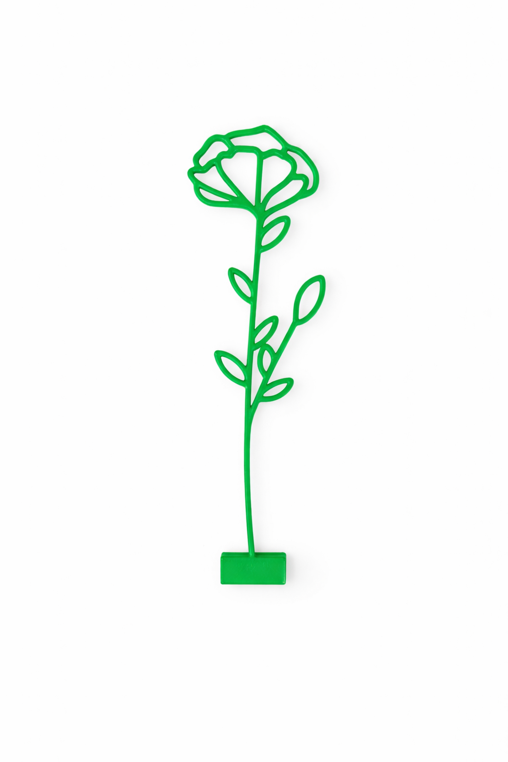Maandbloem - Januari