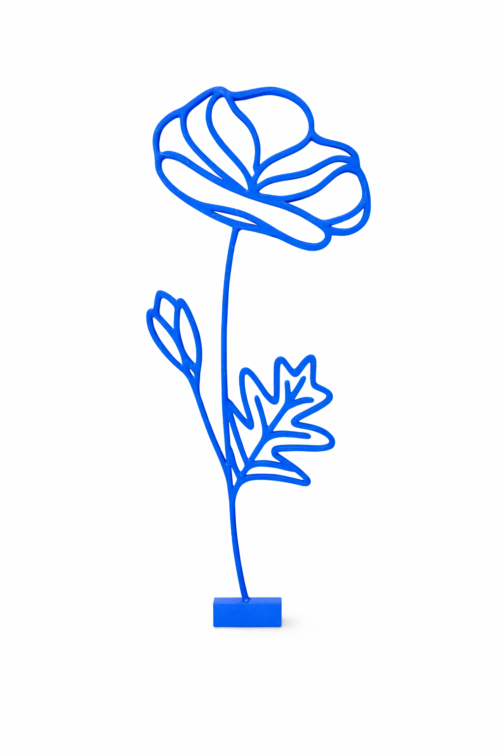 Maandbloem - Augustus