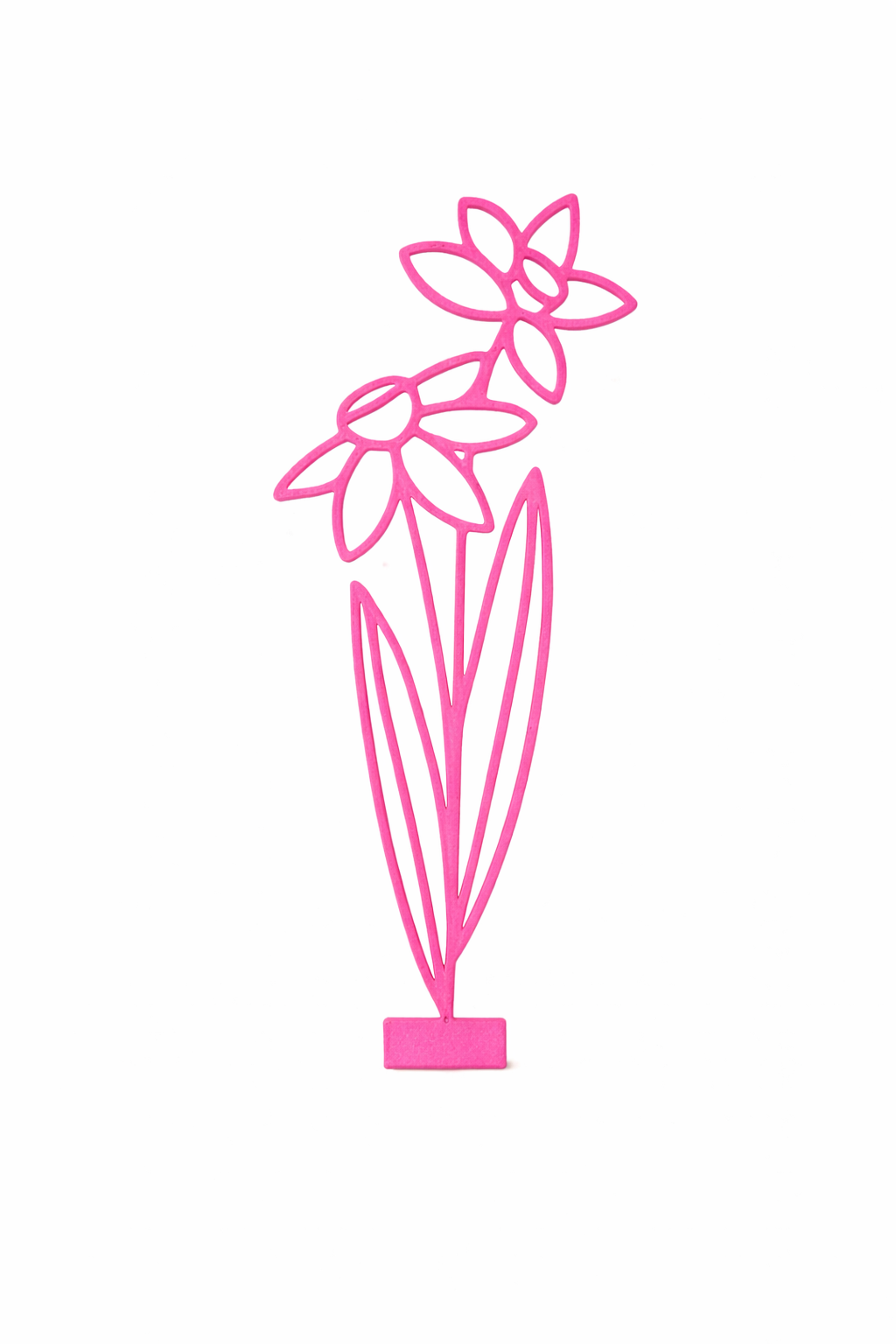 Maandbloem - December