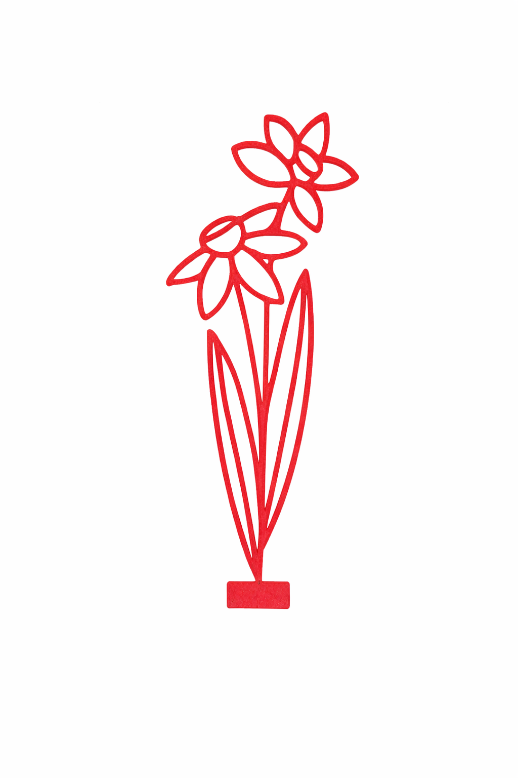 Maandbloem - December