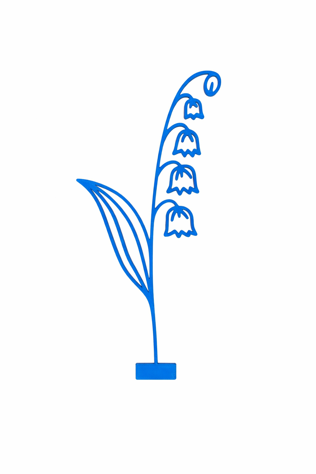 Maandbloem - Mei