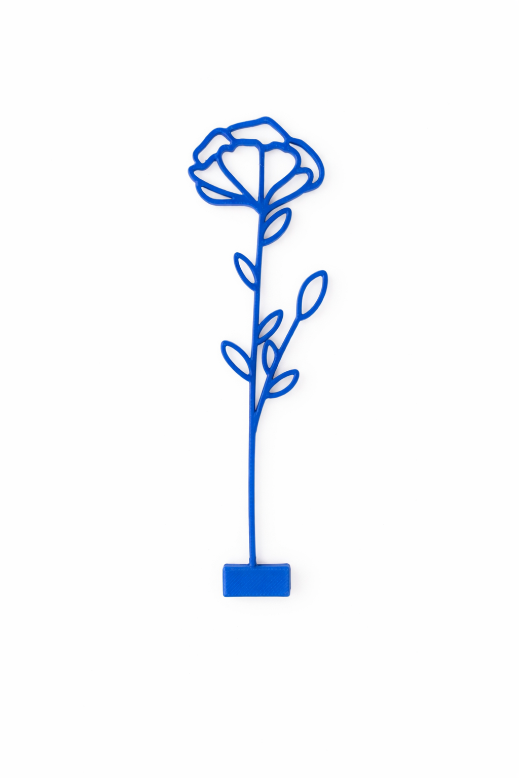 Maandbloem - Januari