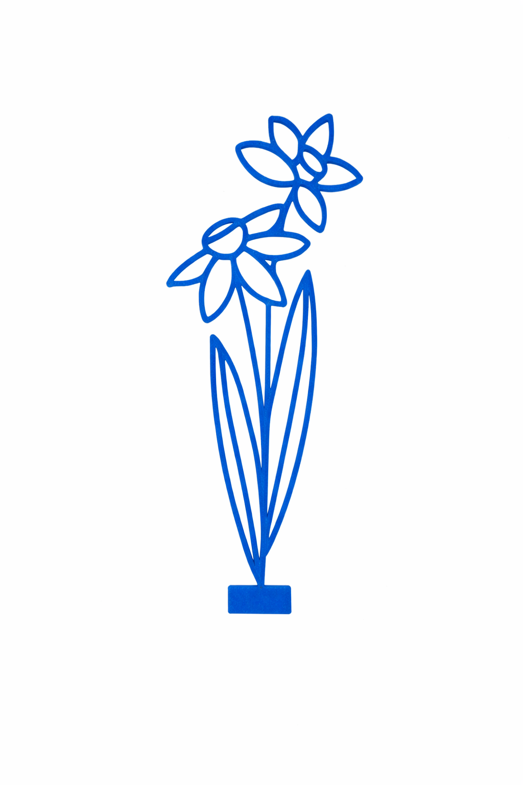 Maandbloem - December
