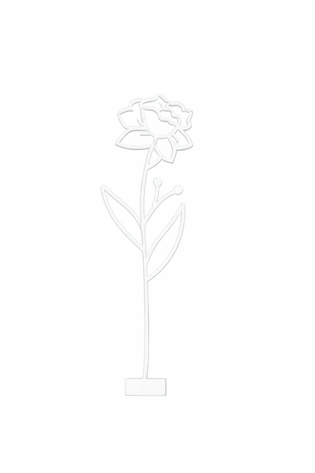 Maandbloem - Maart