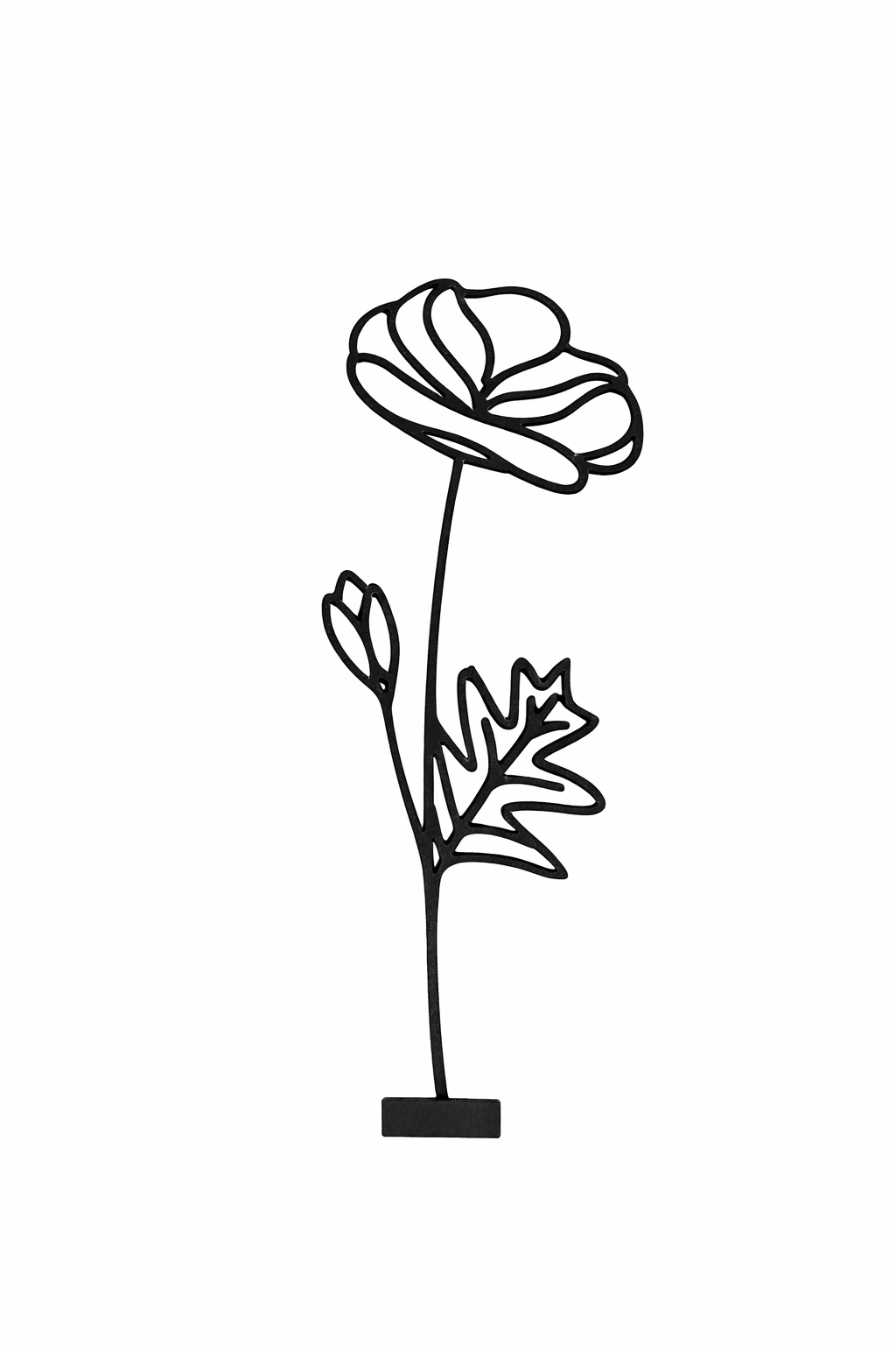 Maandbloem - Augustus