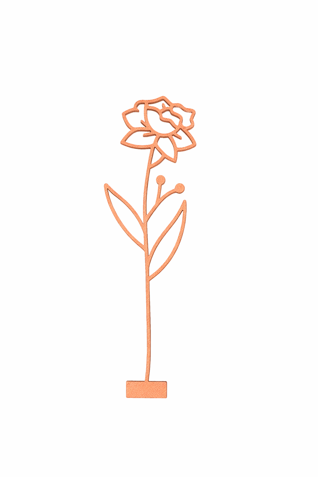 Maandbloem - Maart
