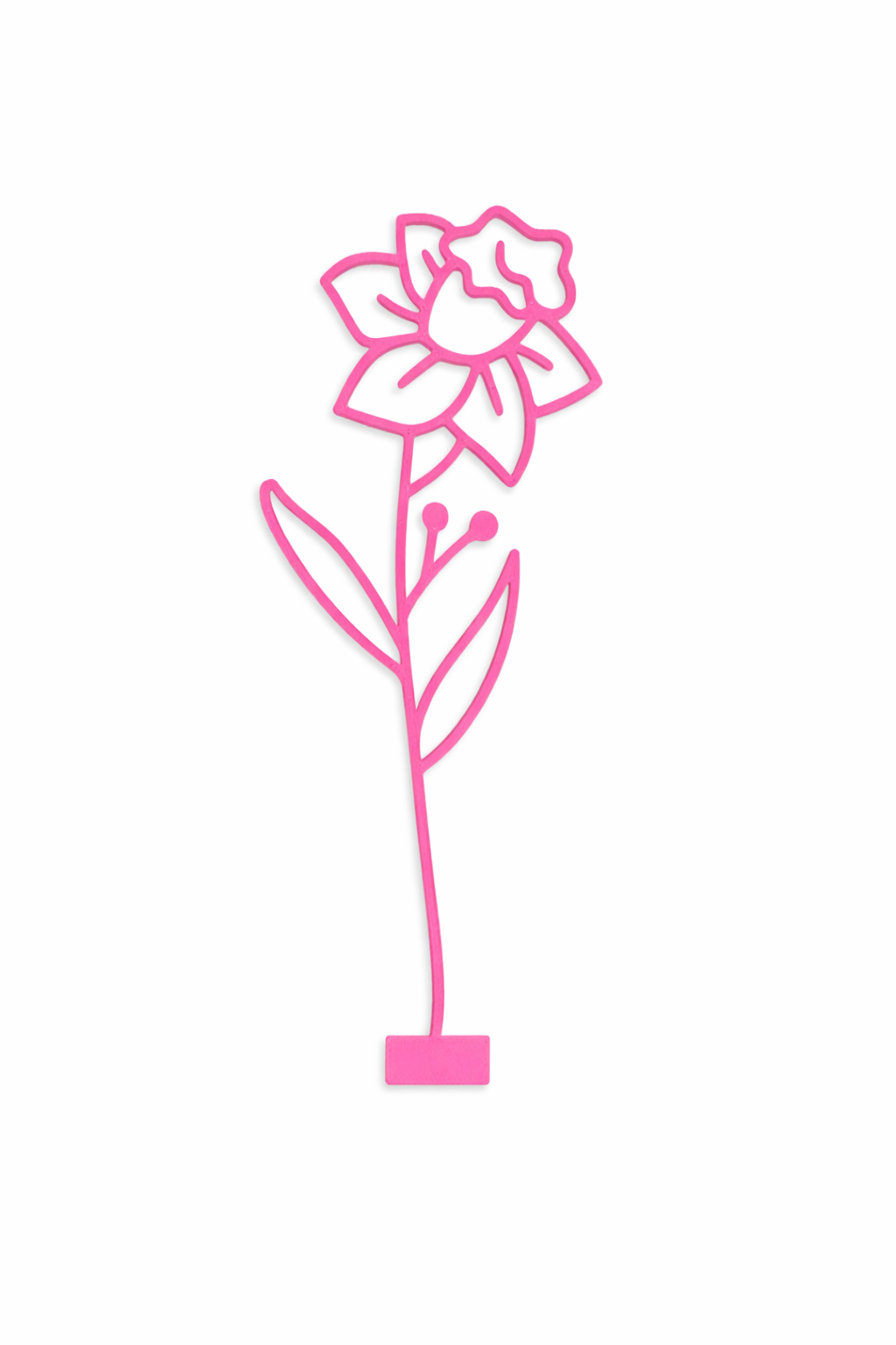 Maandbloem - Maart