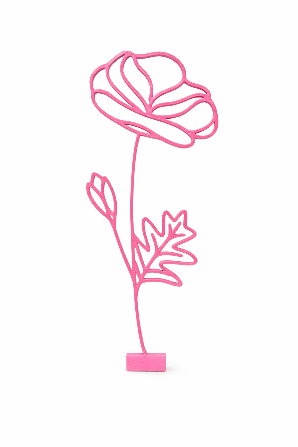 Maandbloem - Augustus