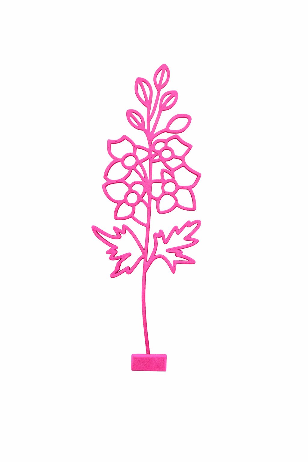 Maandbloem - Juli