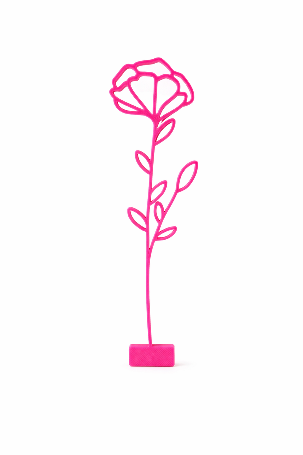 Maandbloem - Januari