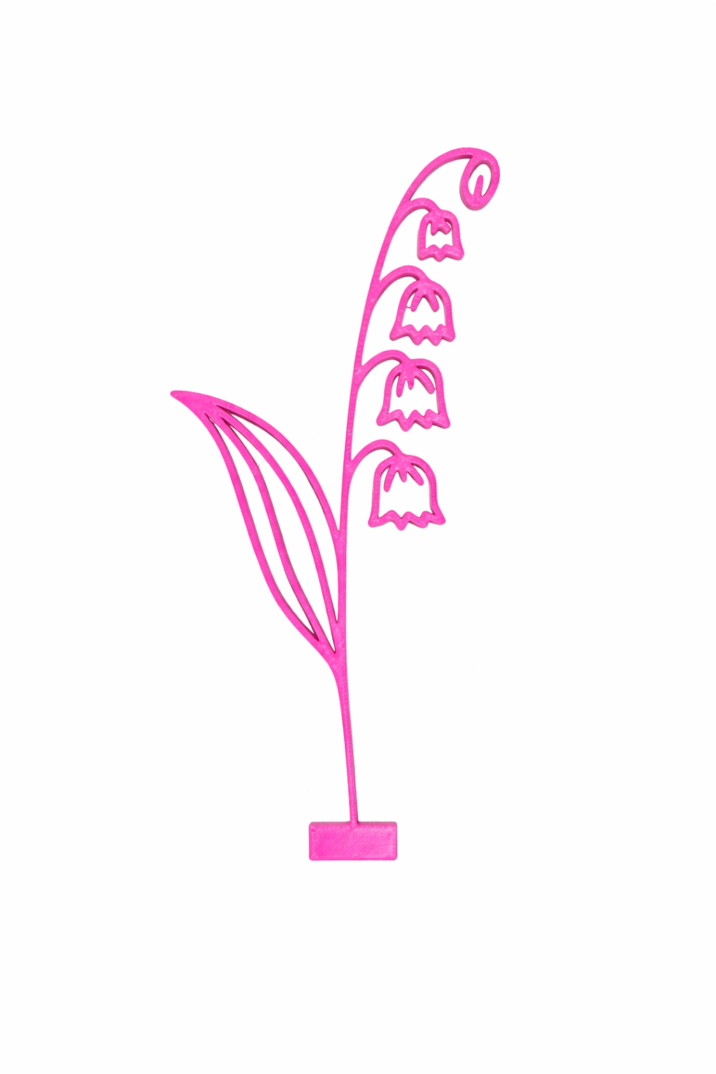 Maandbloem - Mei