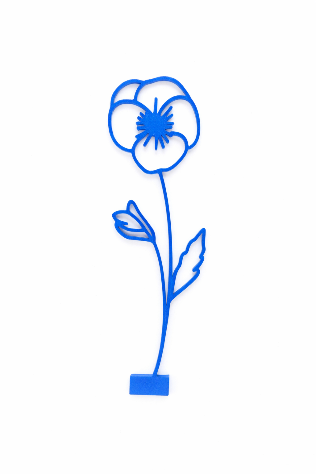 Maandbloem - Febuari