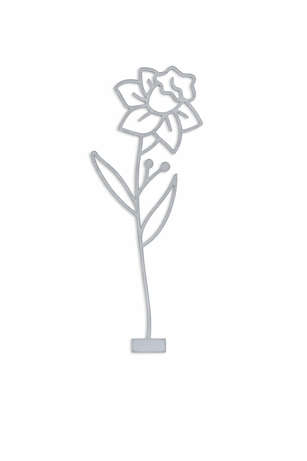 Maandbloem - Maart